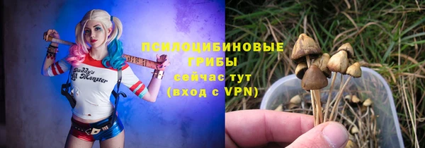 прущий лед Армянск