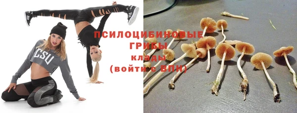 первитин Арсеньев