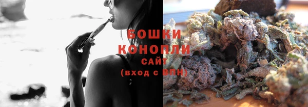 крисы Аркадак