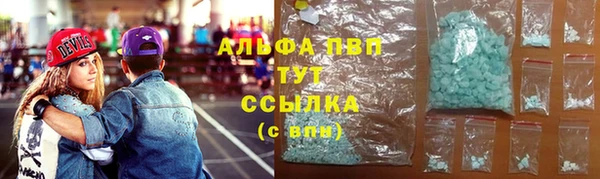 крисы Аркадак