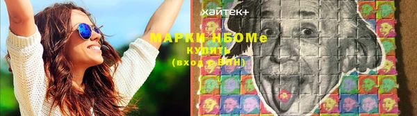 крисы Аркадак